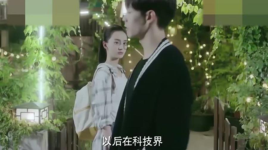 疯狂的小偷